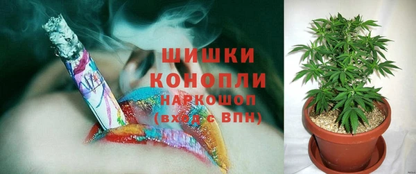 крисы Майский