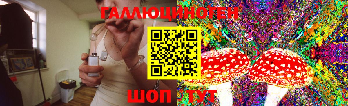 Галлюциногенные грибы прущие грибы Усть-Кут