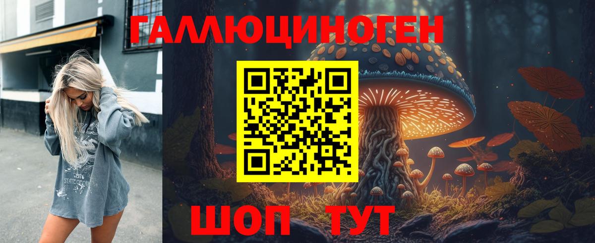 закладки  Усть-Кут  Галлюциногенные грибы Psilocybe  Галлюциногенные грибы Magic Shrooms 